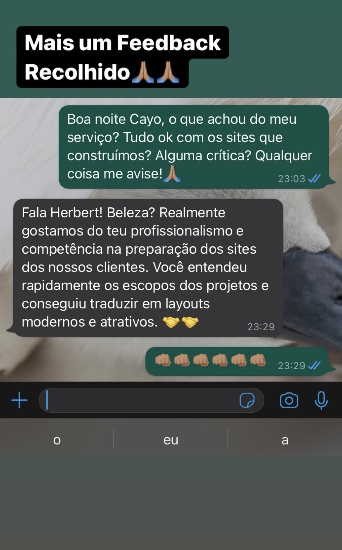 Client Feedback 4